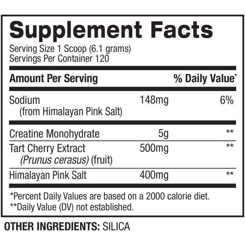 Personal Record Micro Creatine 732g - Image 2