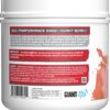 Giant Sports Performance Edge Series BCAA - Fruit Punch - 510g 60 Ser - Image 3