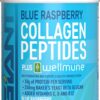 Giant Sports Péptidos de Colágeno | Plus Beta Glucano (WELLMUNE®) | Fuentes Bovinas Alimentadas con Pasto y Criadas en Pastos | Sabor Mora Azul | 450g | 30 Ser