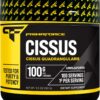 Primaforce Cissus Powder 100g 100 Ser